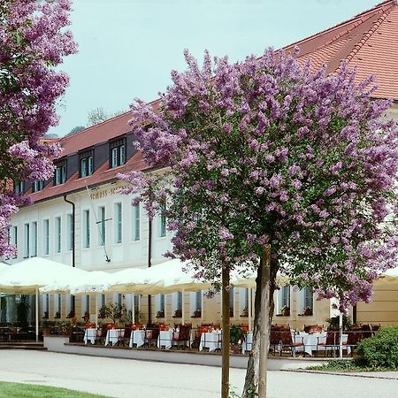 Schloss Hotel Dresden Pillnitz Extérieur photo