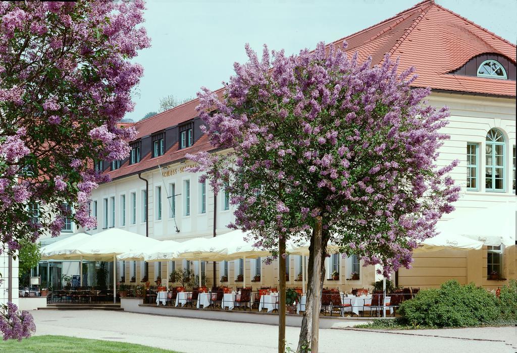 Schloss Hotel Dresden Pillnitz Extérieur photo